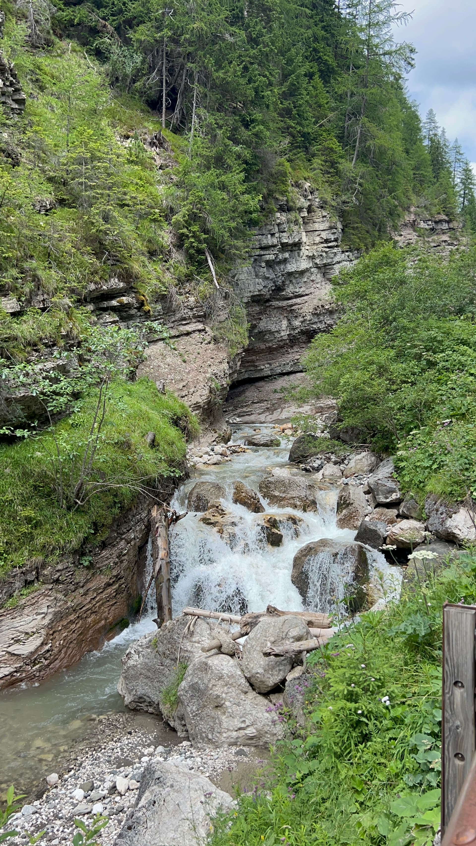 Trip in the mountains