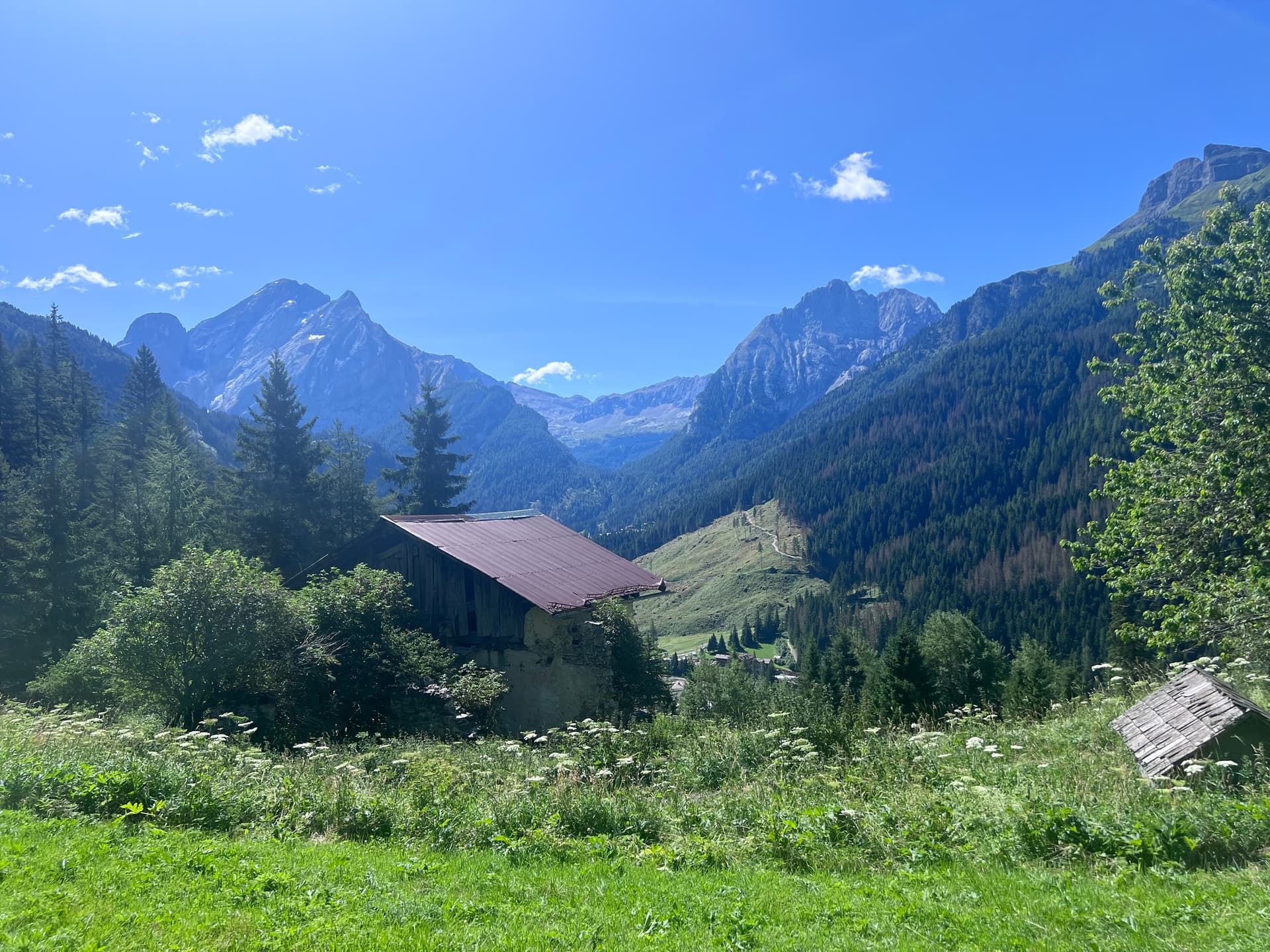 Trip in the mountains
