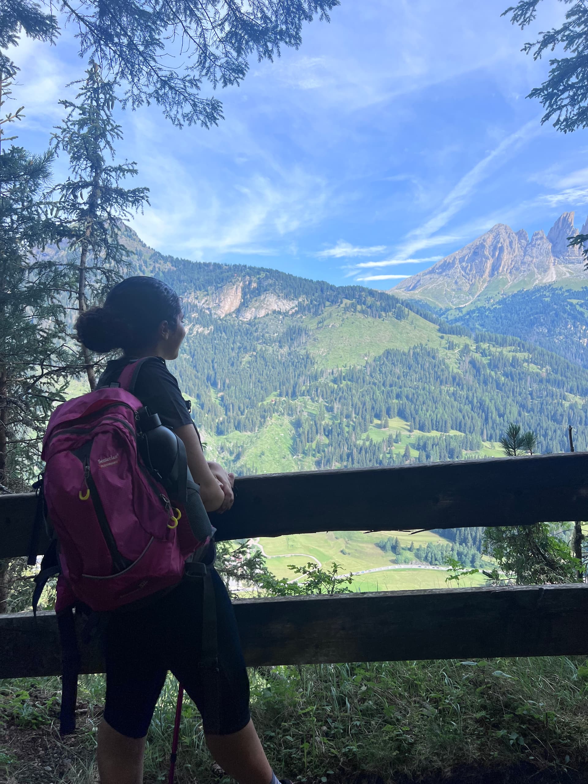 Trip in the mountains