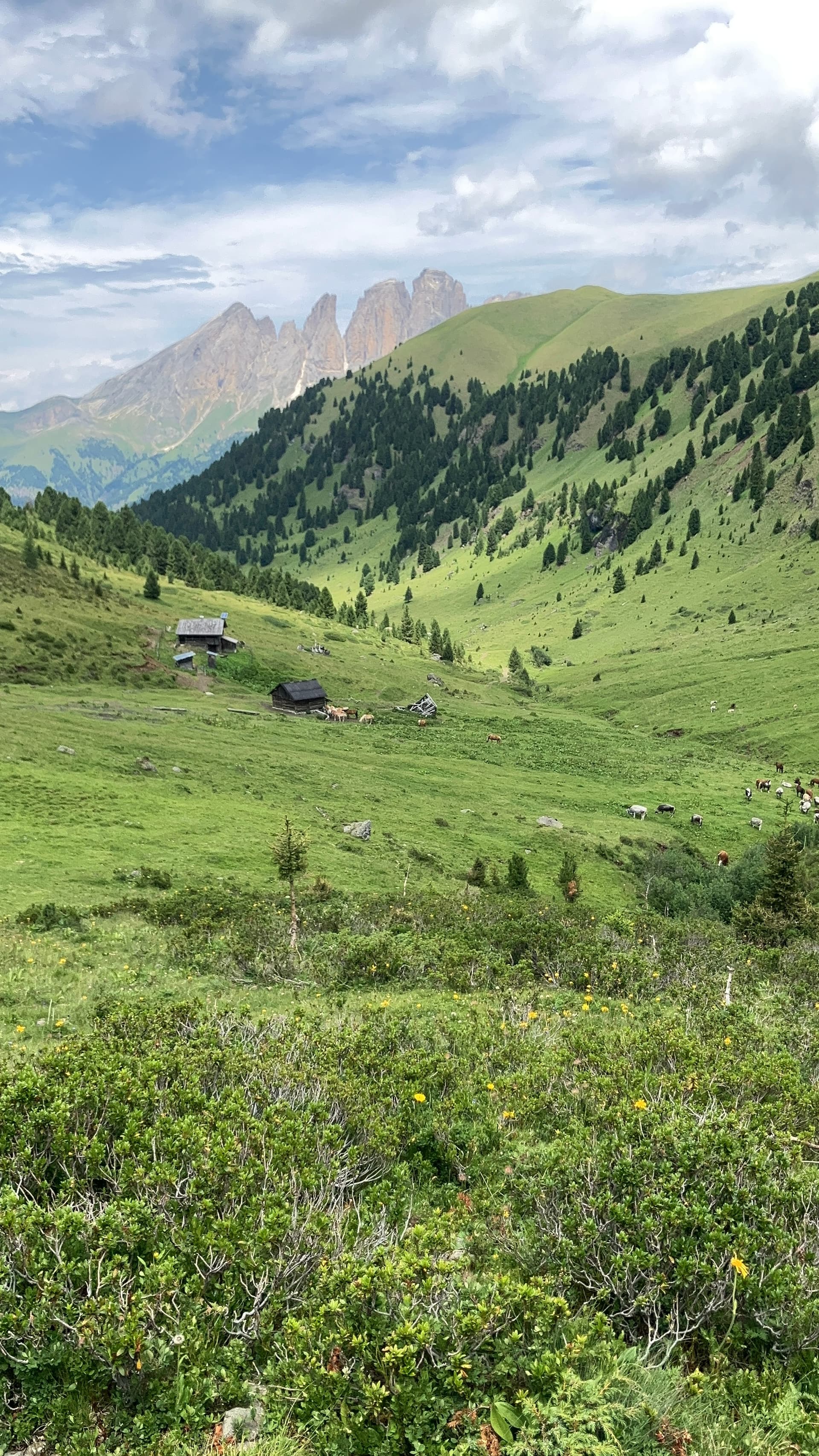Trip in the mountains
