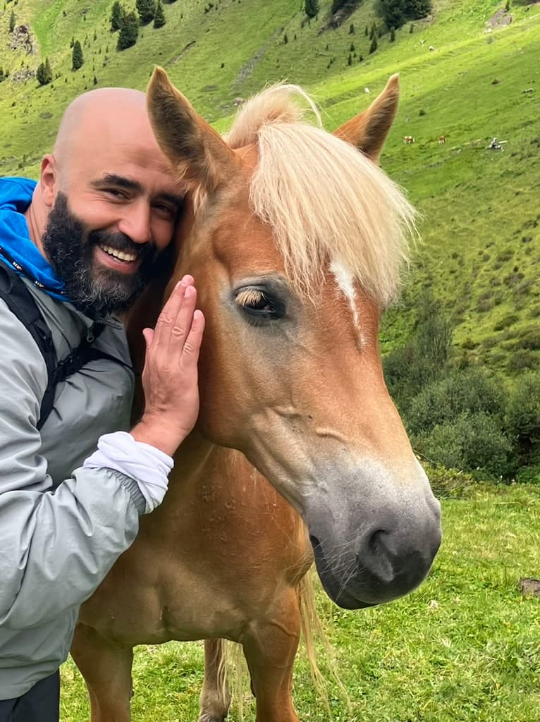 Golden horse