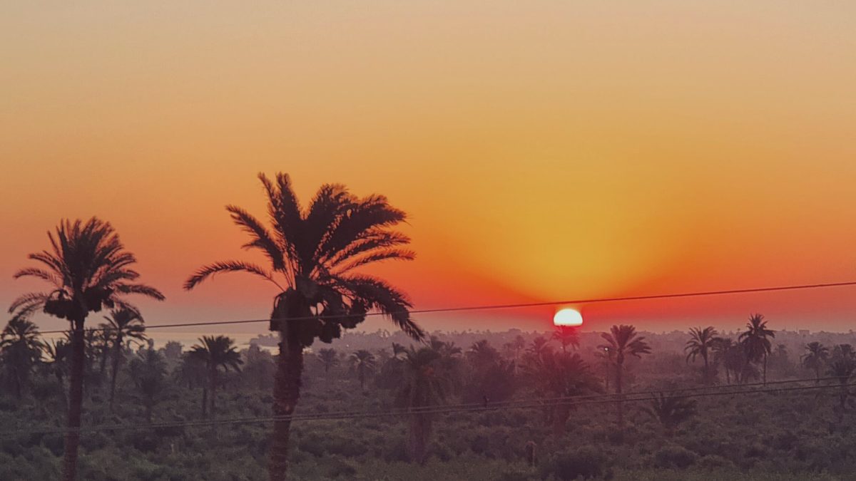 إحياء الجسد · الفيوم